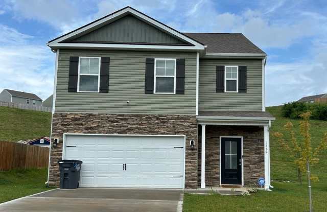 5 Bedroom / 3 Bath Home Kingsport, TN photos photos