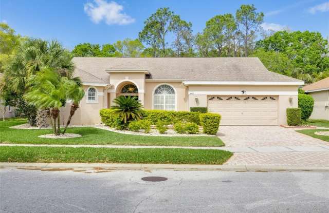 3713 SIENA LANE - 3713 Siena Lane, East Lake, FL 34685