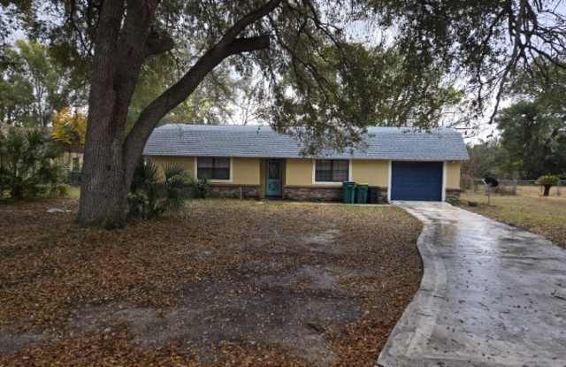 503 Lewis Street photos photos