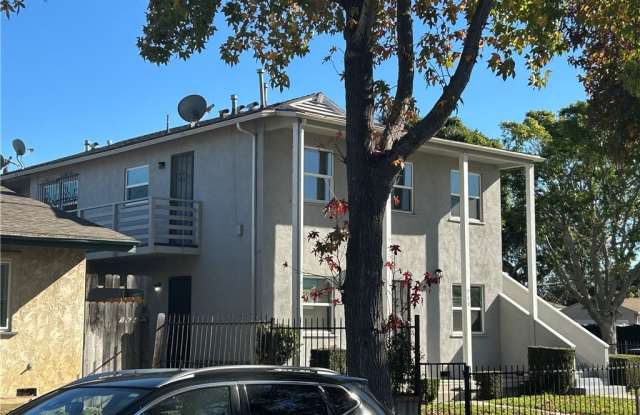 966 Holly photos photos