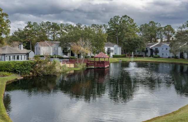 Palm Trace Gallery 4