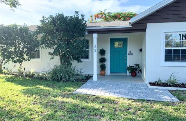133 41ST AVENUE NE - 133 41st Avenue Northeast, St. Petersburg, FL 33703