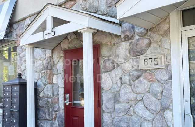 Beautifully Renovated Downtown Apartment! Gallery 1