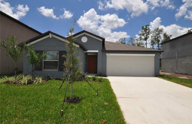 1458 TAHITIAN SUNRISE DRIVE - 1458 Tahitian Sunrise Drive, Plant City, FL 33565