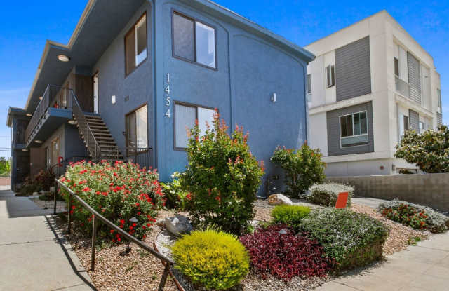 The Lucy photos photos