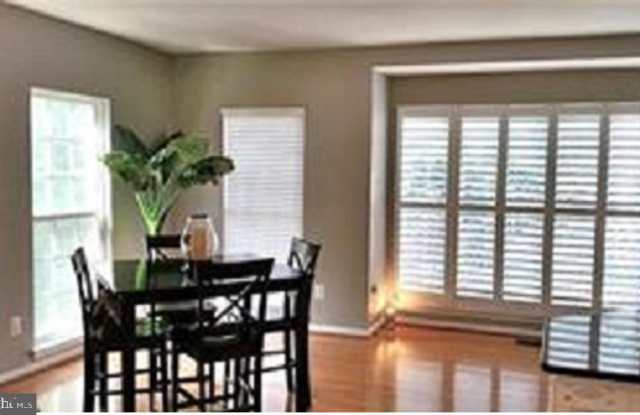 4585 TRUMPET VINE DR Gallery 2