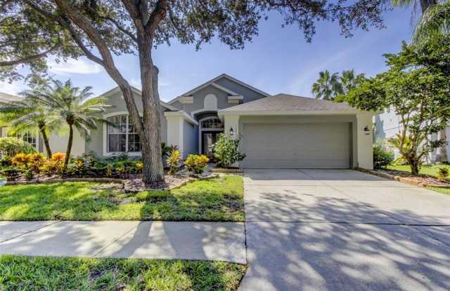 10403 LIGHTNER BRIDGE DRIVE - 10403 Lightner Bridge Drive, Westchase, FL 33626