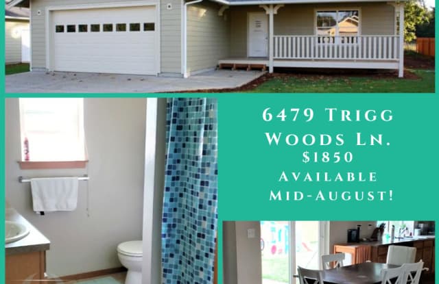 6479 Trigg Woods Lane - 6479 Trigg Woods Lane, Ferndale, WA 98248