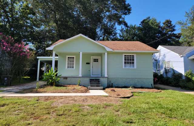 1806 1st Terrace - 1806 1st Terrace, Hattiesburg, MS 39401
