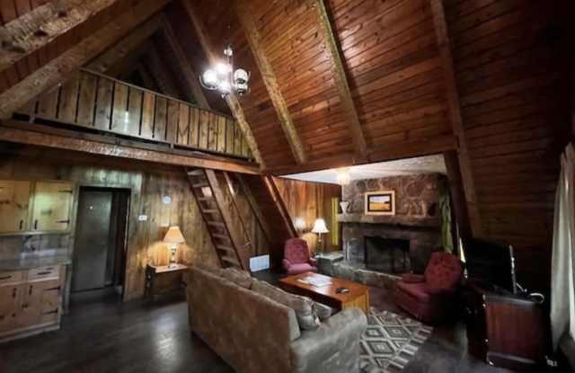 339 Chalet Village Dr Gallery 4