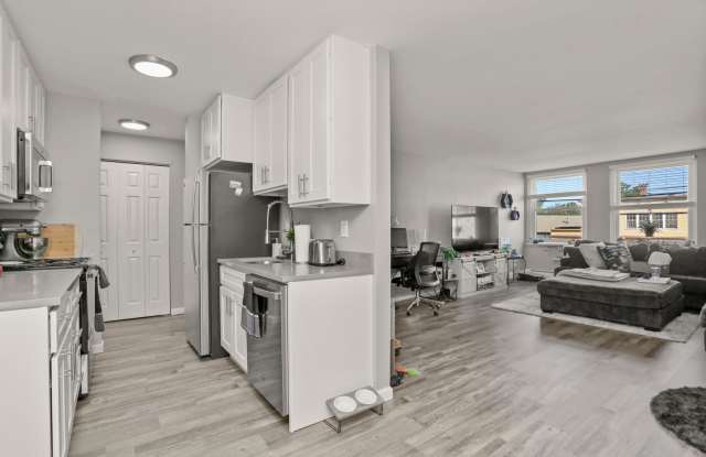 Fully Renovated Modern Apartments photos photos