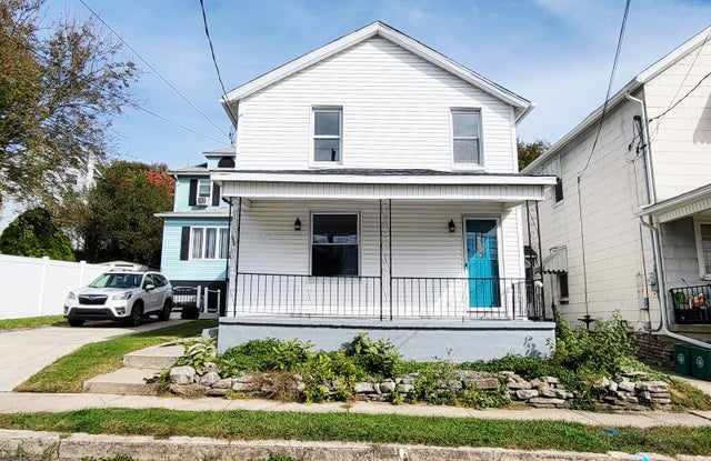 156 Pine Street - 156 Pine Street, Browntown, PA 18640