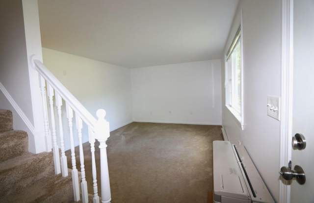 107A Tidy Road Gallery 3