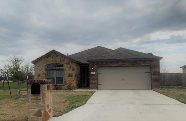7019 Tanglehead Drive - 7019 Tanglehead Drive, Temple, TX 76502