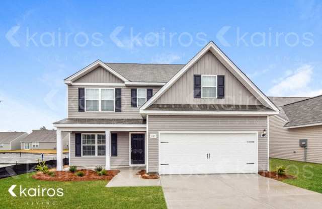 1127 Mission Grass Road - 1127 Mission Grass Road, Lexington County, SC 29054