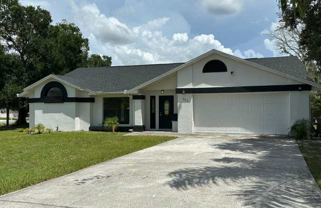 Fully Renovated 4-Bed Beauty on Oversized Corner Lot in Poinciana – Feels Like New! photos photos