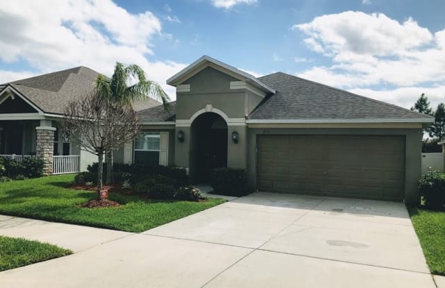 12317 Eagle Swoop Place - 12317 Eagle Swoop Place, Riverview, FL 33579