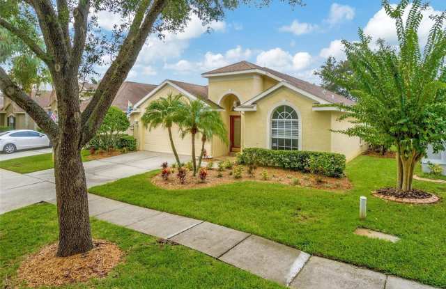 18821 MAISONS DRIVE - 18821 Maisons Drive, Cheval, FL 33558