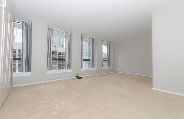 260 E CHESTNUT Street Gallery 3