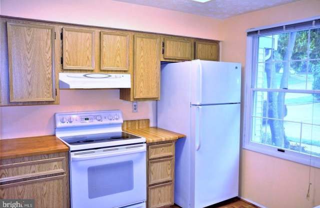 1648 HARVEST GREEN COURT Gallery 4