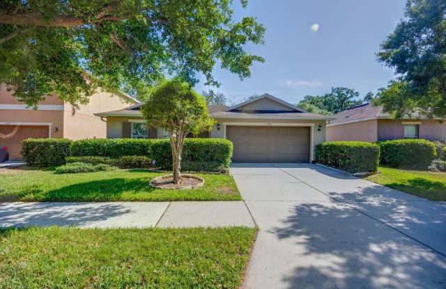 1333 Canyon Oaks Drive - 1333 Canyon Oaks Drive, Brandon, FL 33510