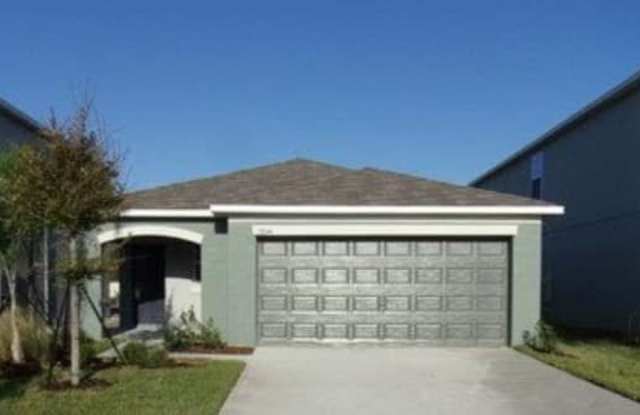 17044 Yellow Pine Street - 17044 Yellow Pine Street, Wimauma, FL 33598