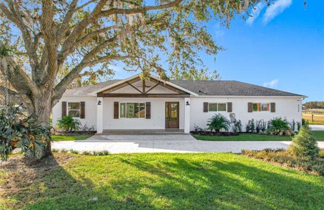 8440 FLORIDA BOYS RANCH ROAD - 8440 Florida Boys Ranch Road, Lake County, FL 34736