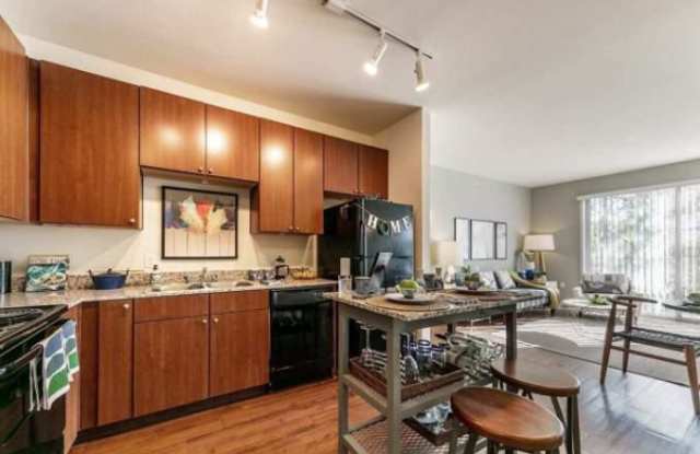 3065 Esperanza Crossing Gallery 4