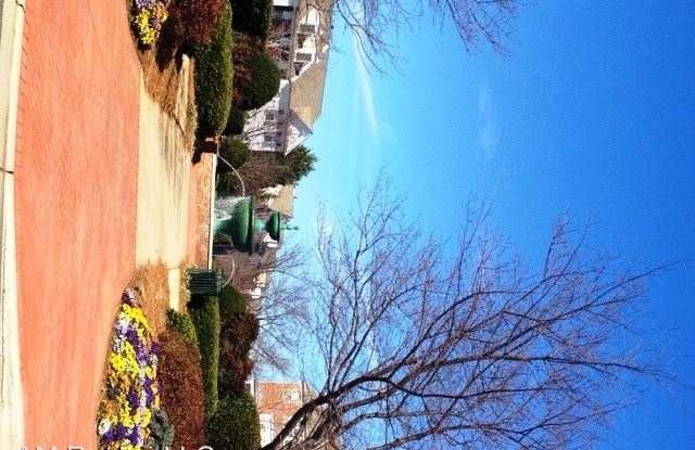 14409 San Paolo Ln Gallery 3