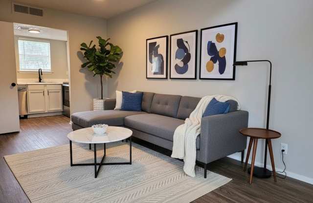 Ivy Plains at Brooks Gallery 3