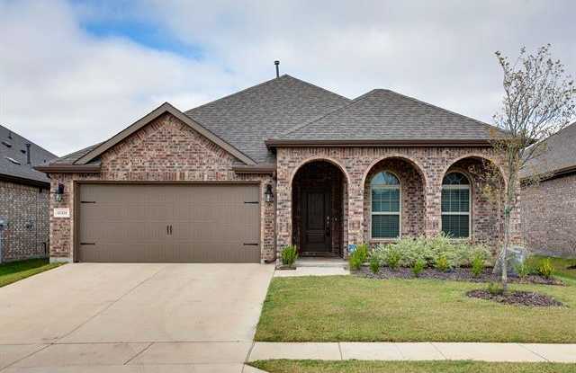 11321 Blaze Street - 11321 Blaze St, Denton County, TX 76227