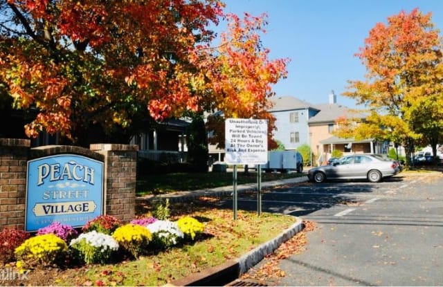506 Peach Street - 506 Peach Street, Avenel, NJ 07001