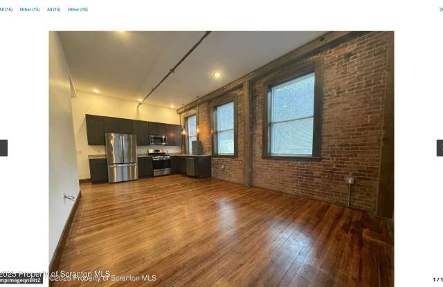 103 Park Street unit: 1A - 103 Park Street, Honesdale, PA 18431