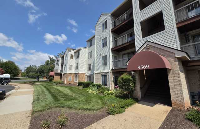 9569 Coggs Bill Dr - 1#201 Gallery 2