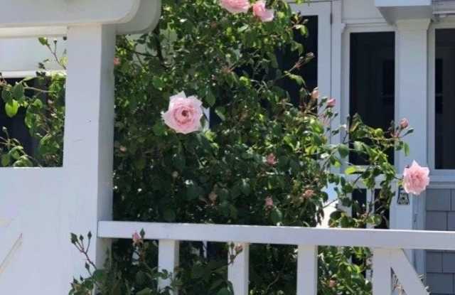 647 Ocean Breeze Gallery 2