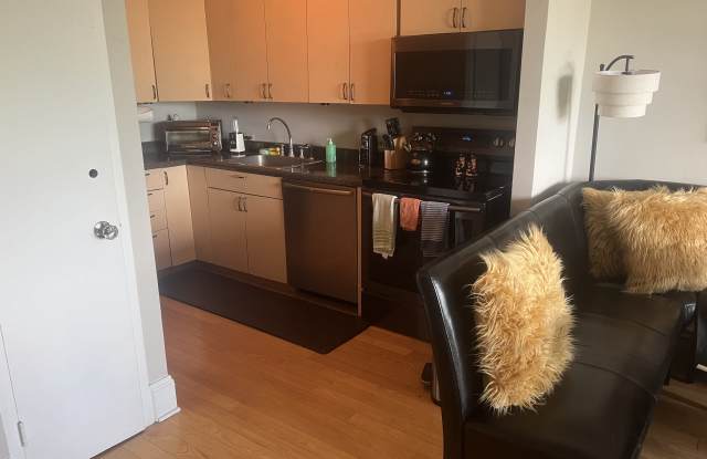 1550 North Lake Shore Drive Gallery 4