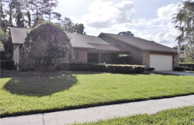 385 HOLLY HILL ROAD - 385 Holly Hill Road, East Lake, FL 34677