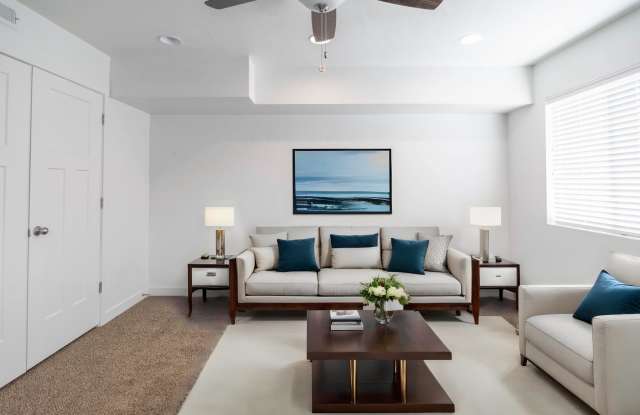 *The Lochs in Vineyard photos photos