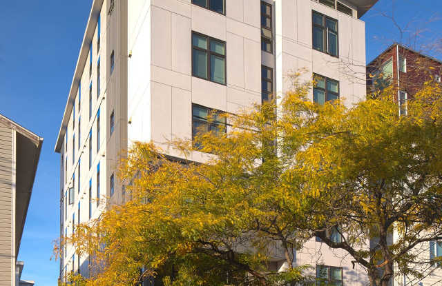 aPodment Suites at Giardino — Micro-Studio Living in the Heart of Ballard photos photos