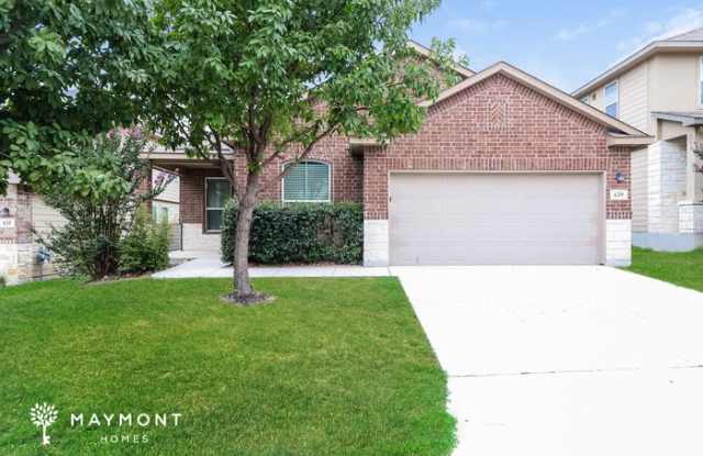639 Sage Thrasher photos photos