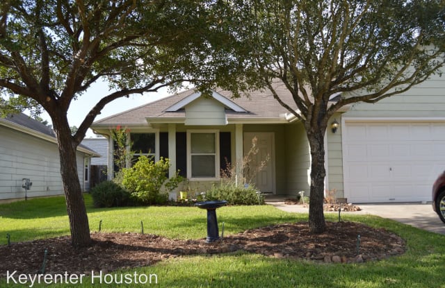 11642 Sardis Lake Dr - 11642 Sardis Lake Drive, Harris County, TX 77375