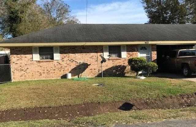 413 Mary St photos photos