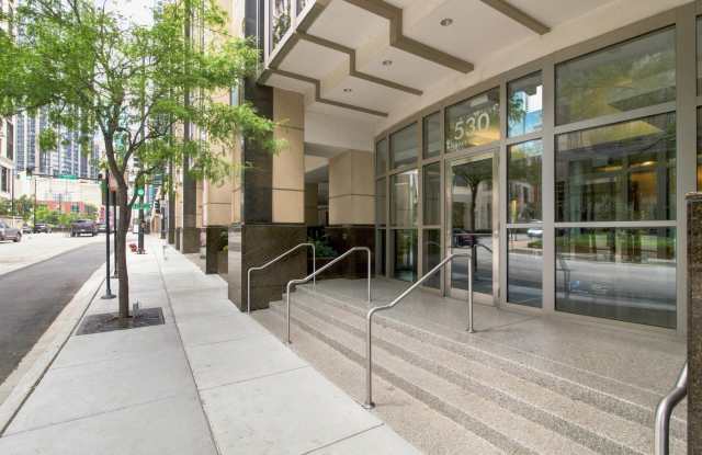 530 N Lake Shore Drive Gallery 2