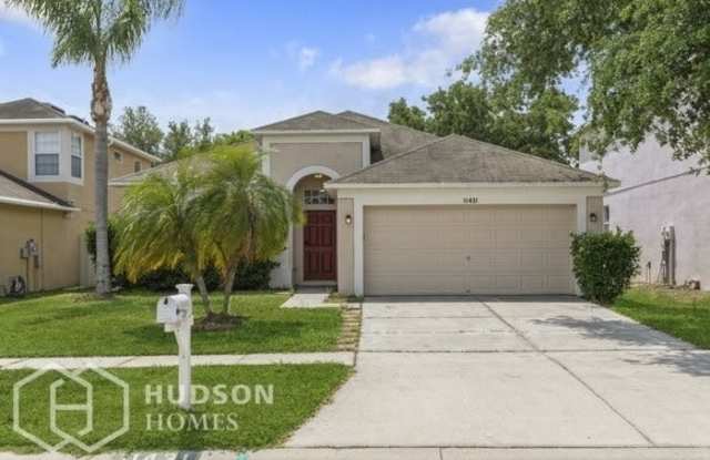 11431 Village Brook Drive - 11431 Village Brook Drive, Riverview, FL 33579