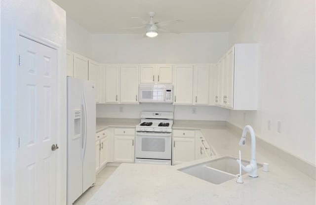 519 Painted Cloud Place photos photos