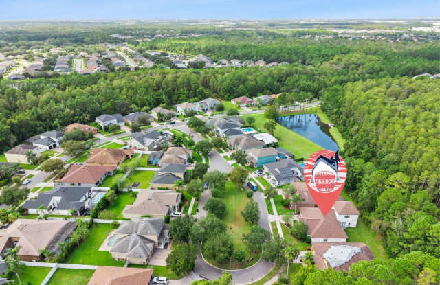4 Beds + Huge Bonus Room on Conservation Lot in Lake Nona's East Park Community Gallery 3