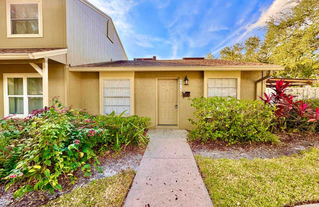 6910 Soledad Ct - 6910 Soledad Court, Town 'n' Country, FL 33615