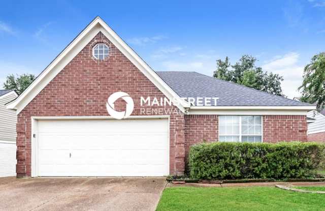 9595 Chi Chi Lane photos photos