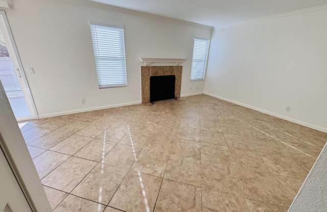 43376 Cook Gallery 4