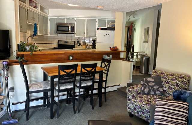 1 Bedroom Rental in Breckenridge.  This November 8th, through March 31st, 2027.  One Occupant Only, No Pets. Gallery 1